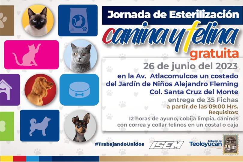 1687270724 Jornada de esterilizacion canina y felina