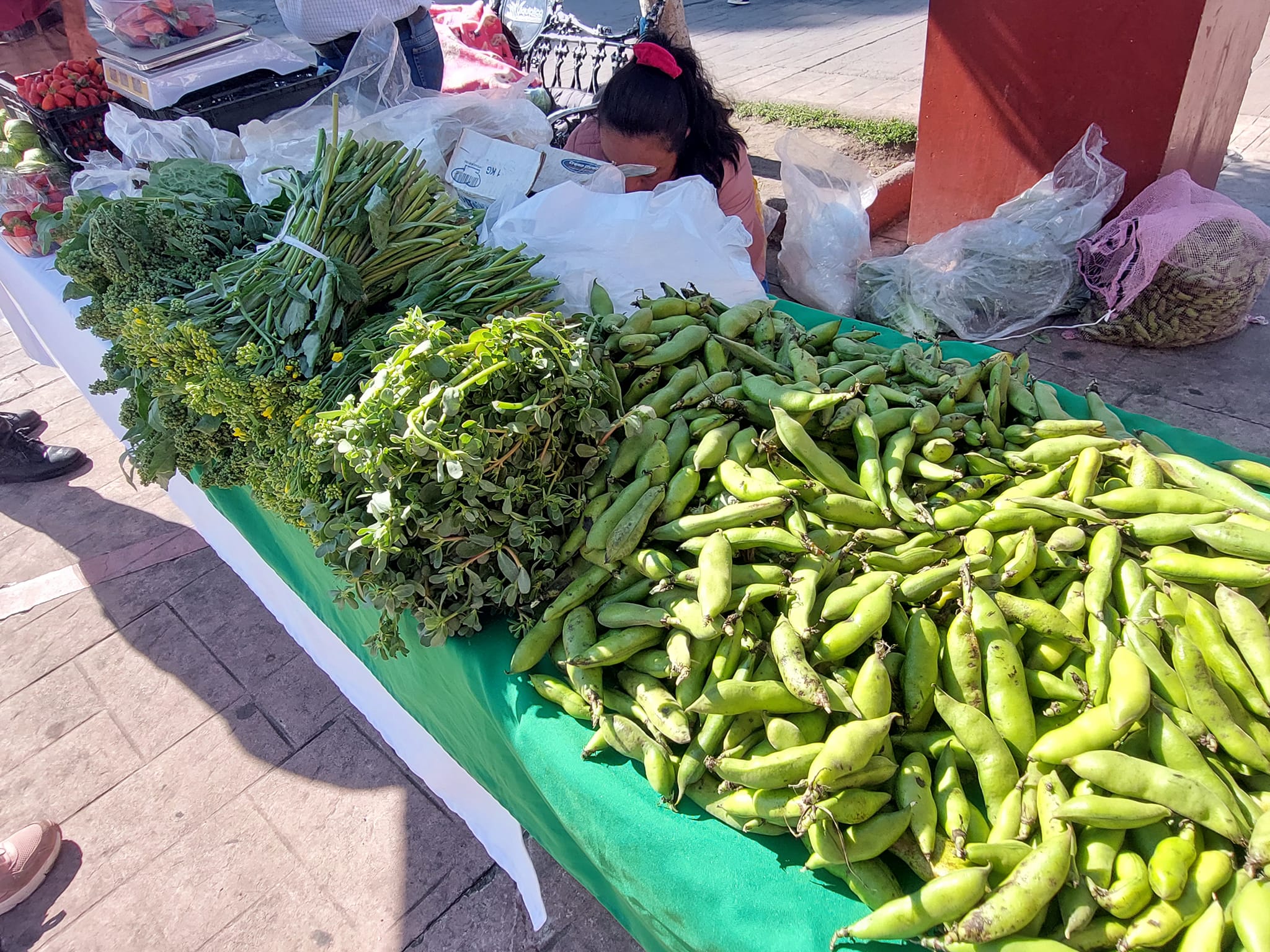 1687279227 237 No olvides que hoy es martes de PLAZA VERDE productos