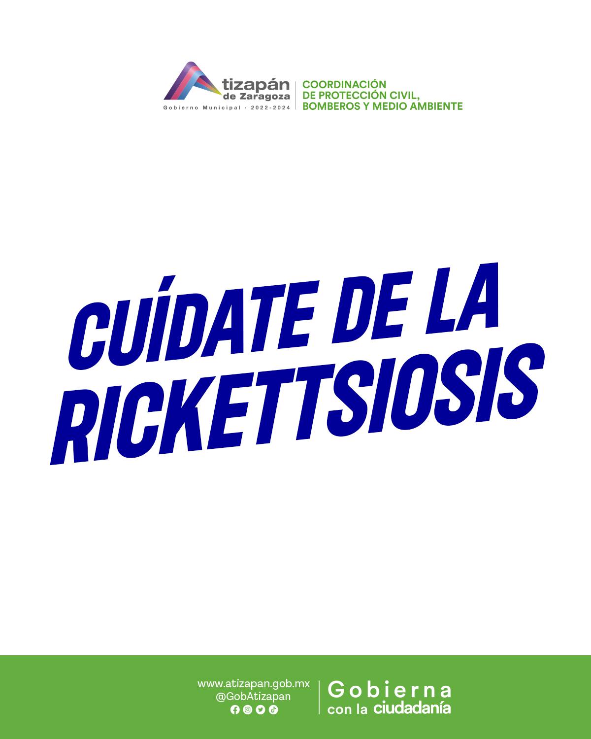 1687288465 La rickettsiosis abarca un grupo de enfermedades infecciosas causadas por