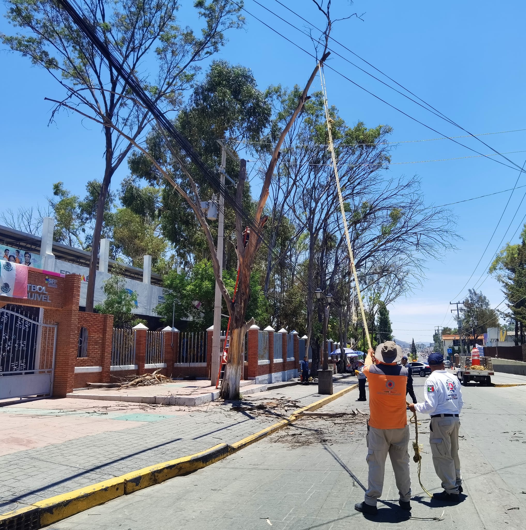 1687290978 568 Con la finalidad de proteger y salvaguardar la integridad de