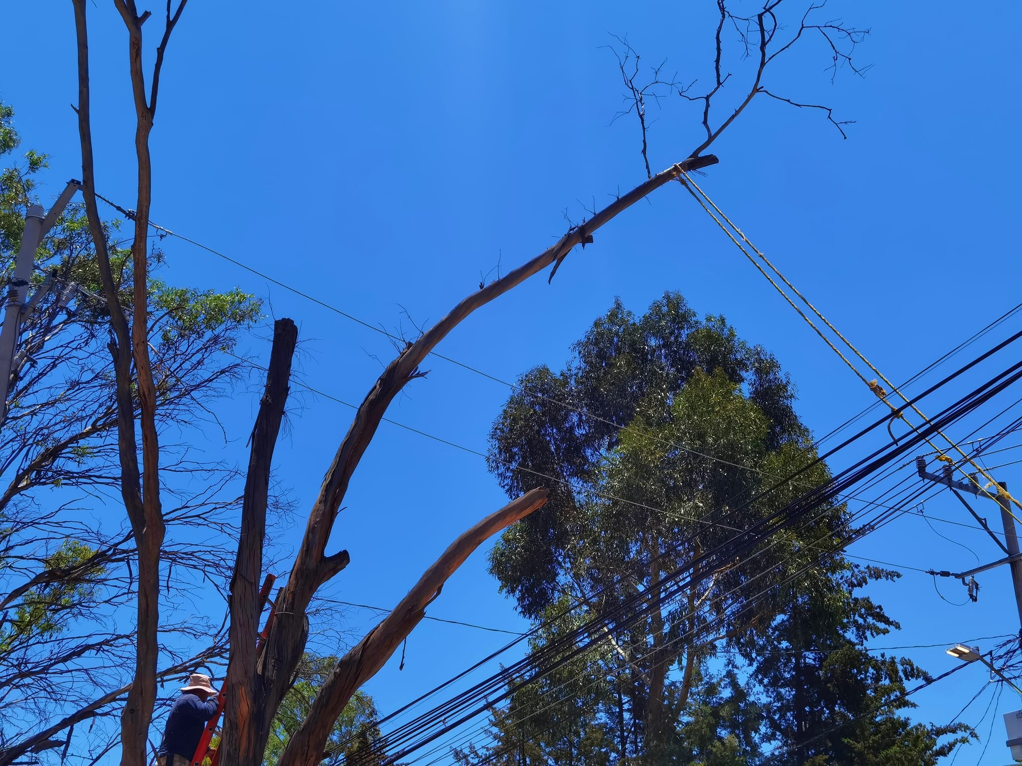 1687290983 449 Con la finalidad de proteger y salvaguardar la integridad de