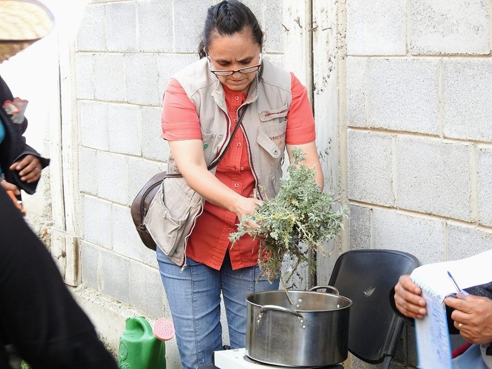 1687293499 104 Si sirves a la naturaleza ella te servira El Sistema