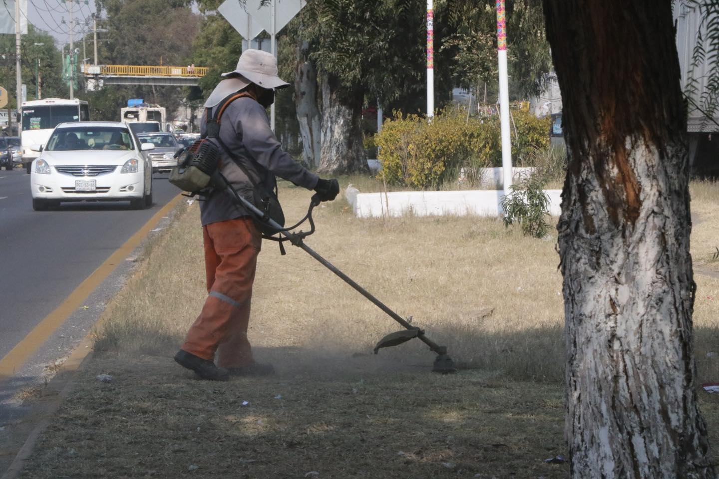 1687299367 SERVICIOS A traves de la Direccion de Imagen Urbana