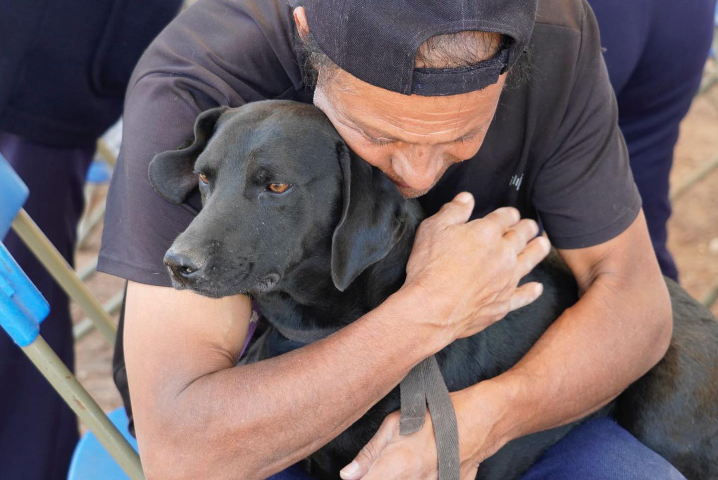 1687303339 475 Jornada de esterilizacion canina y felina Asi se vivio