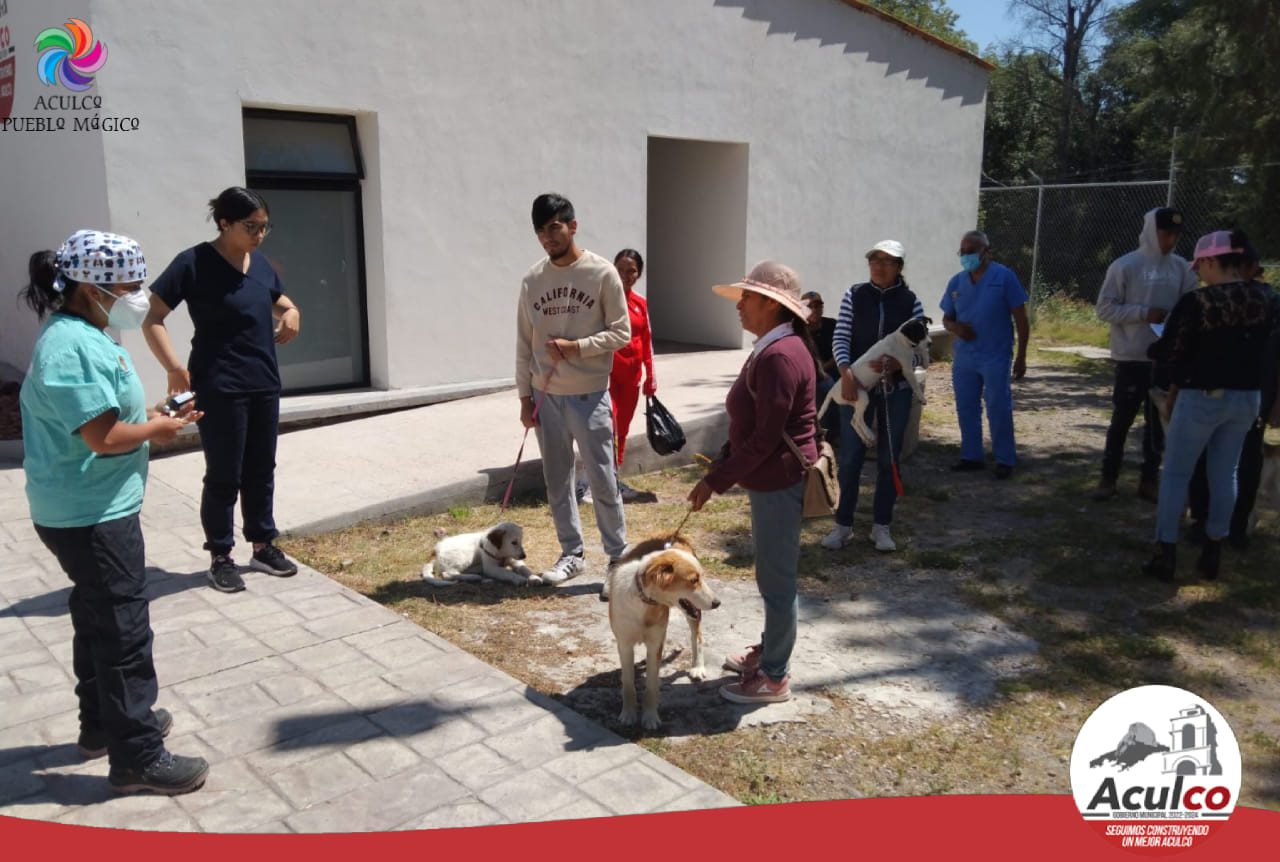 1687305034 476 El dia de hoy llevamos a cabo con gran