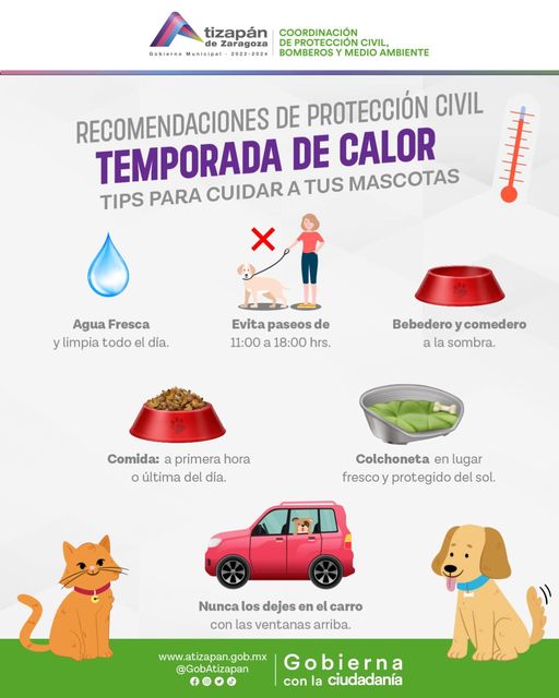 1687355683 En esta TemporadaDeCalor protege a tus animalitos de compania