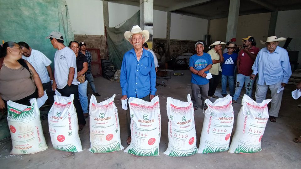 1687379309 648 El dia de hoy campesinos productores de maiz Amatepequenses de