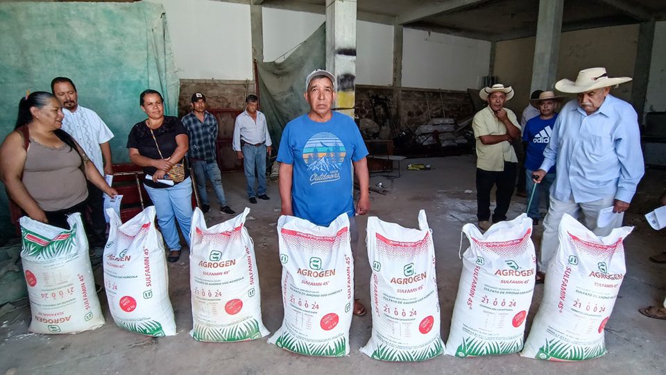 1687379318 881 El dia de hoy campesinos productores de maiz Amatepequenses de