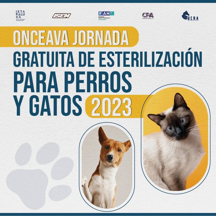 1687450378 Para mejorar la calidad de vida de tus mascotas ven