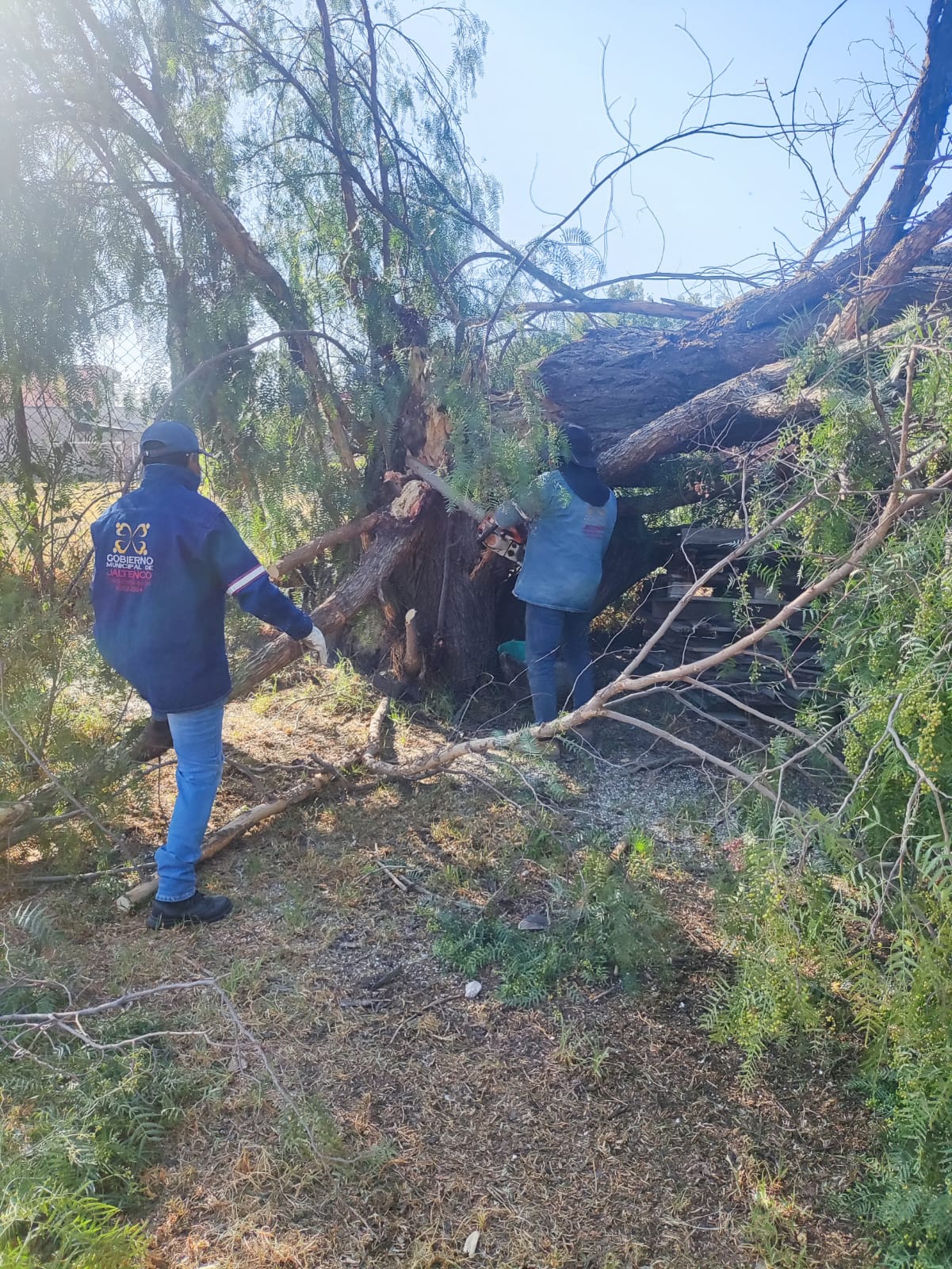 1687453362 755 El Gobierno Municipal de Jaltenco que preside la C Rosario