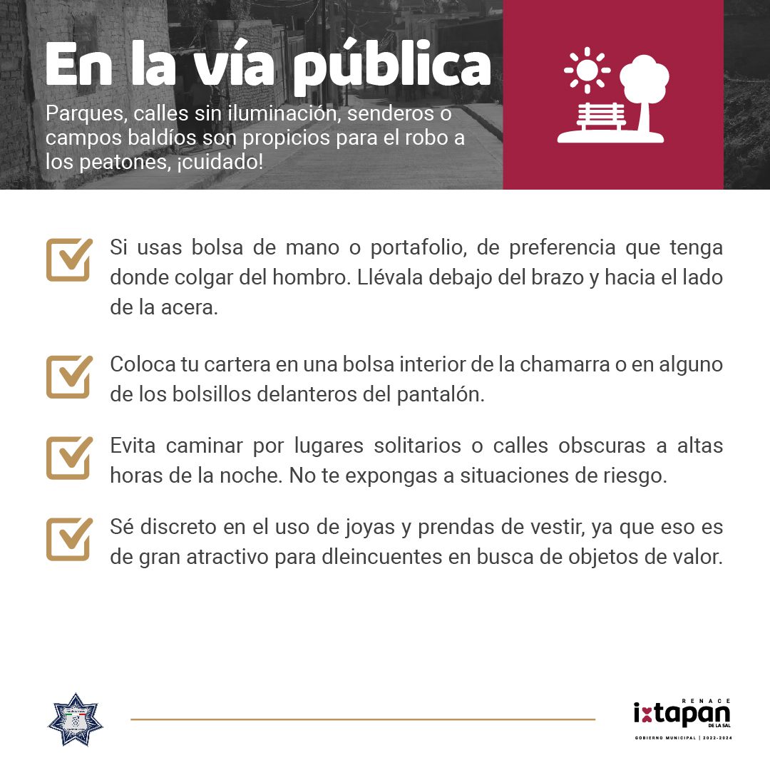 1687461518 17 PrevencionDelDelito En esta publicacion te aportamos elementos para establece