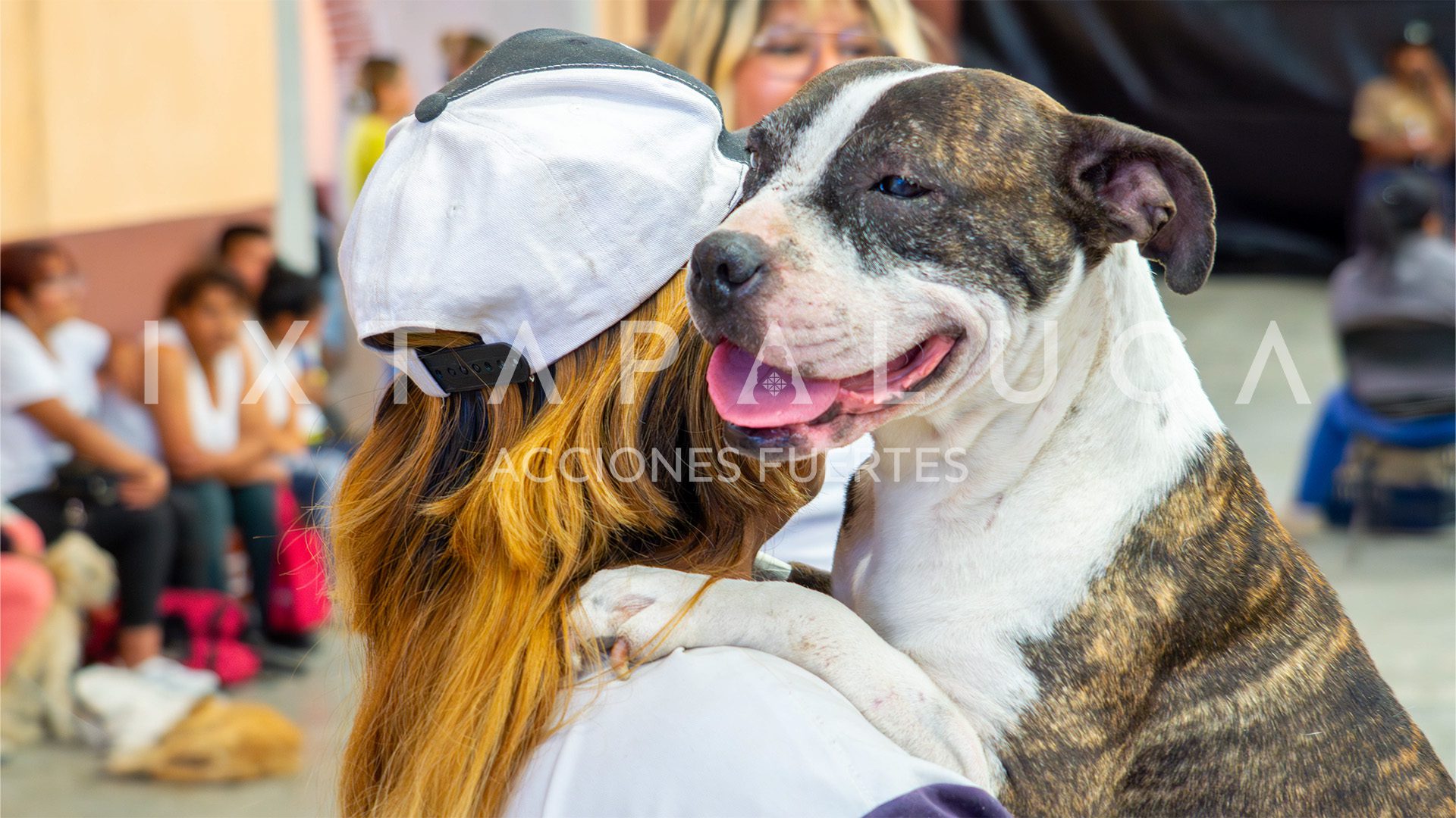 1687466253 73 ¡UNA MAS Concluimos la Decima Jornada de Esterilizacion gratuita con