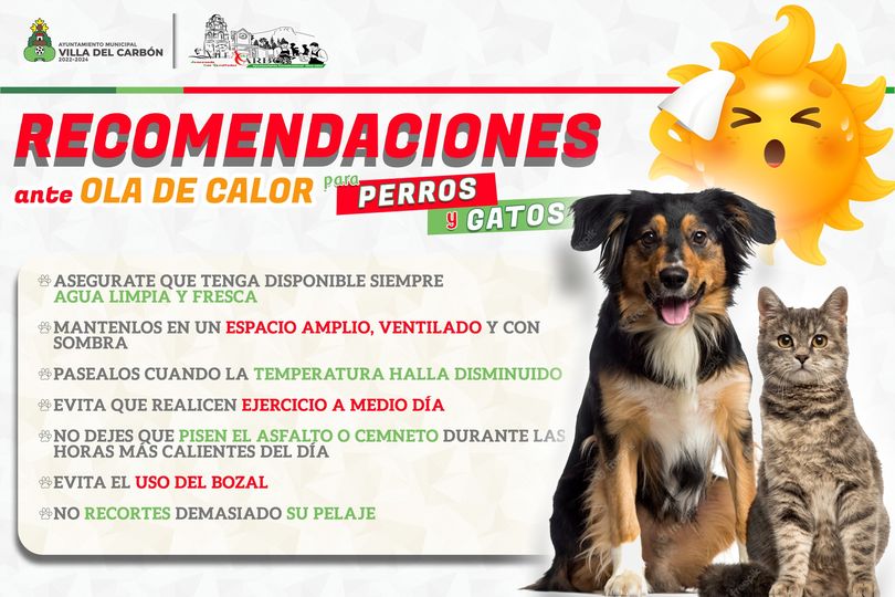 1687467323 Ante esta temporada de calor te brindamos estas recomendaciones para