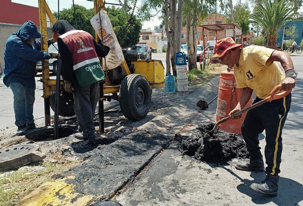 1687468654 736 PorAmorANeza EstamosTrabajando