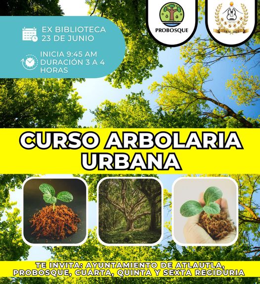 1687474655 ASISTE AL CURSO ARBOLARIA URBANA