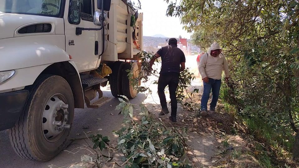 1687526735 99 Hoy Brigadistas de la Comision Nacional Forestal y la Brigada