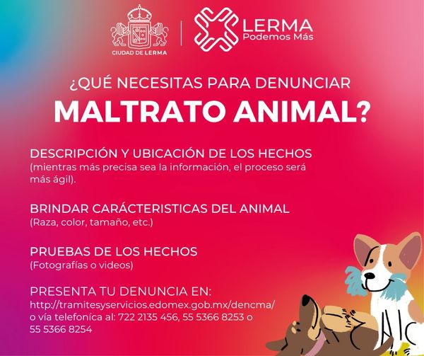 1687527762 Ayudemos a evitar el maltrato animal si conoces una situacion