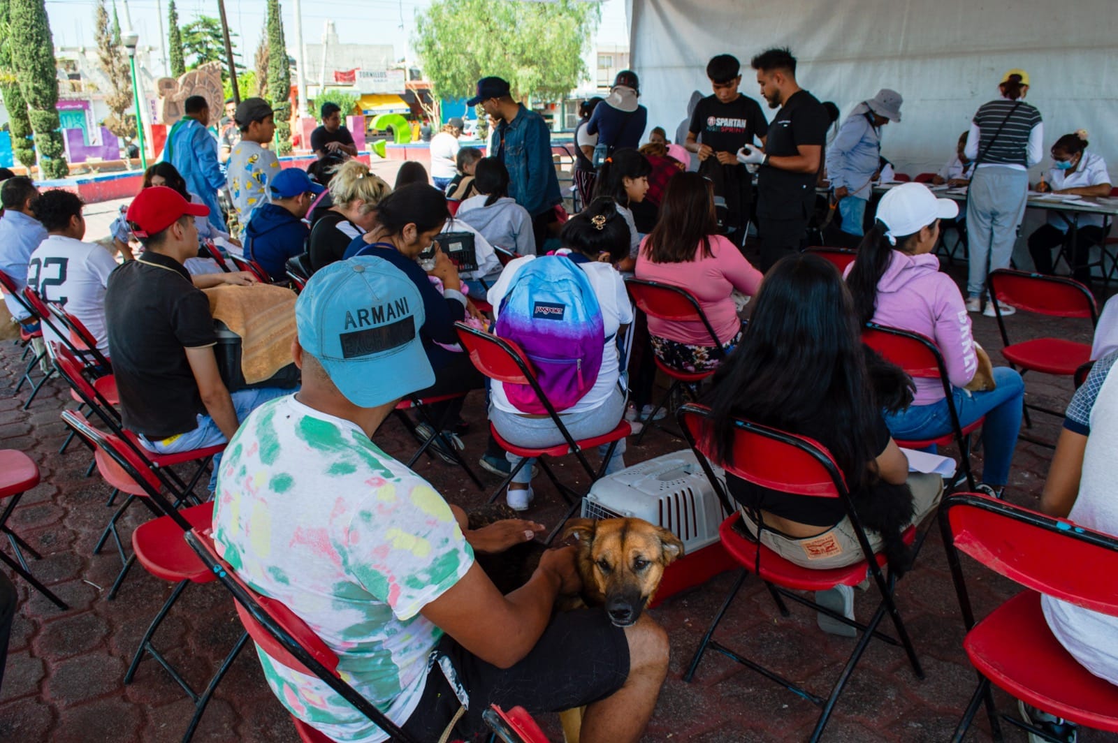 1687528478 158 GOBIERNO DE CHIMALHUACAN REALIZA JORNADA DE ESTERILIZACION CANINA Y FELINA