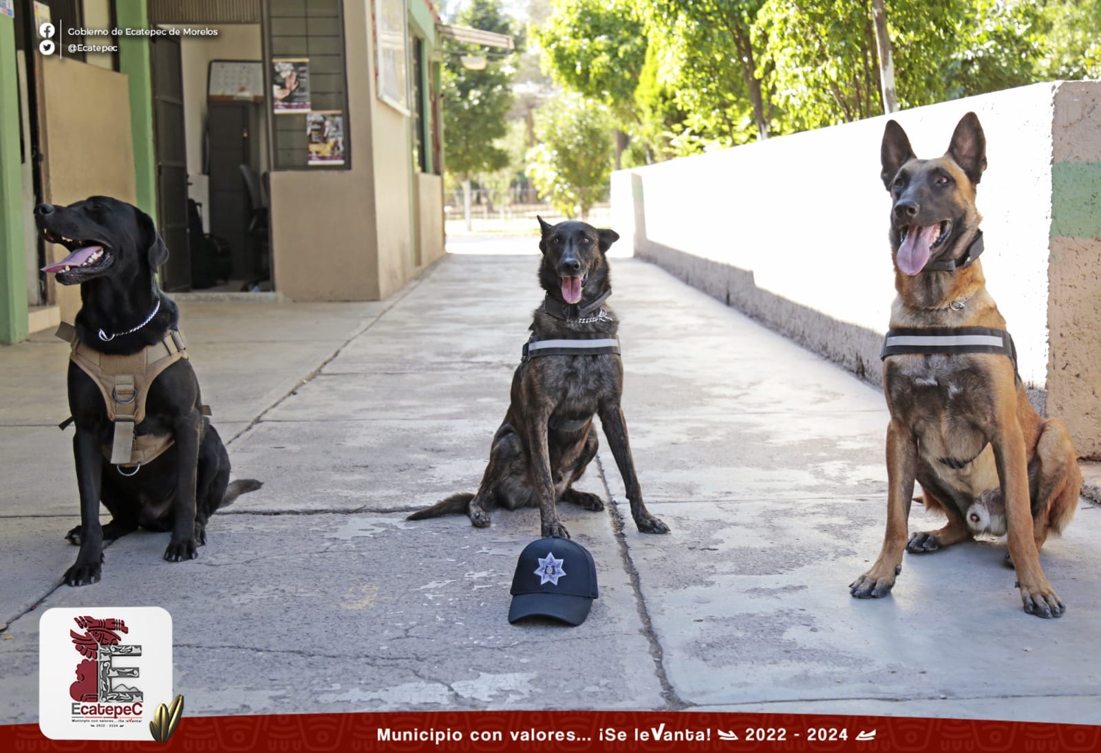 1687548873 Hercules Rigoberto y Cronos elementos caninos de la NuevaPolicia visitaron