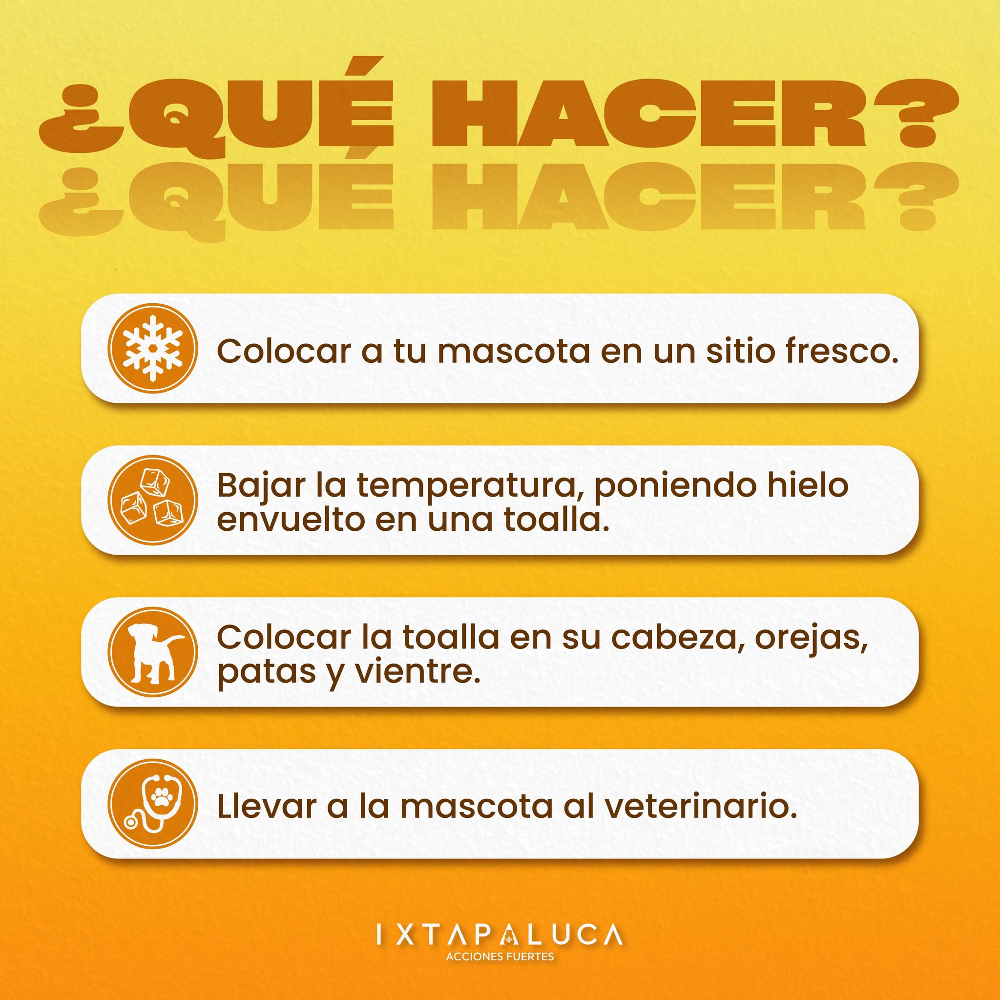 1687556849 426 ¡Protejamos a nuestros amiguitos peludos del intenso calor Les compartimos