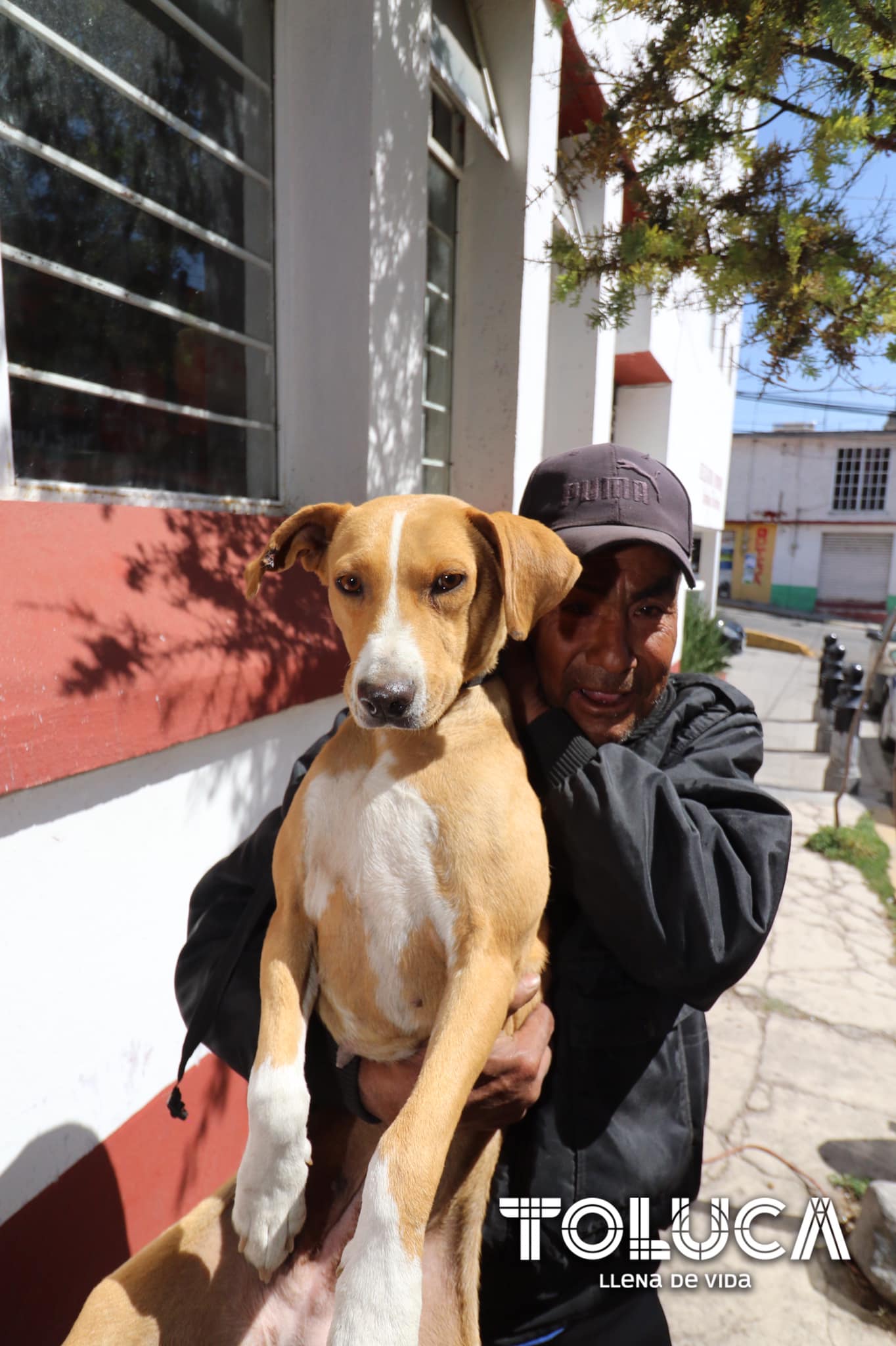 1687558229 893 ¡Estamos impulsando la tenencia responsable en Toluca Nuestro equipo del