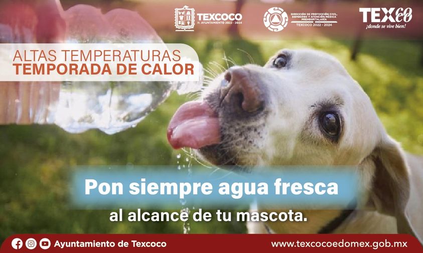 1687558429 En esta temporada de calor manten los siguientes cuidados