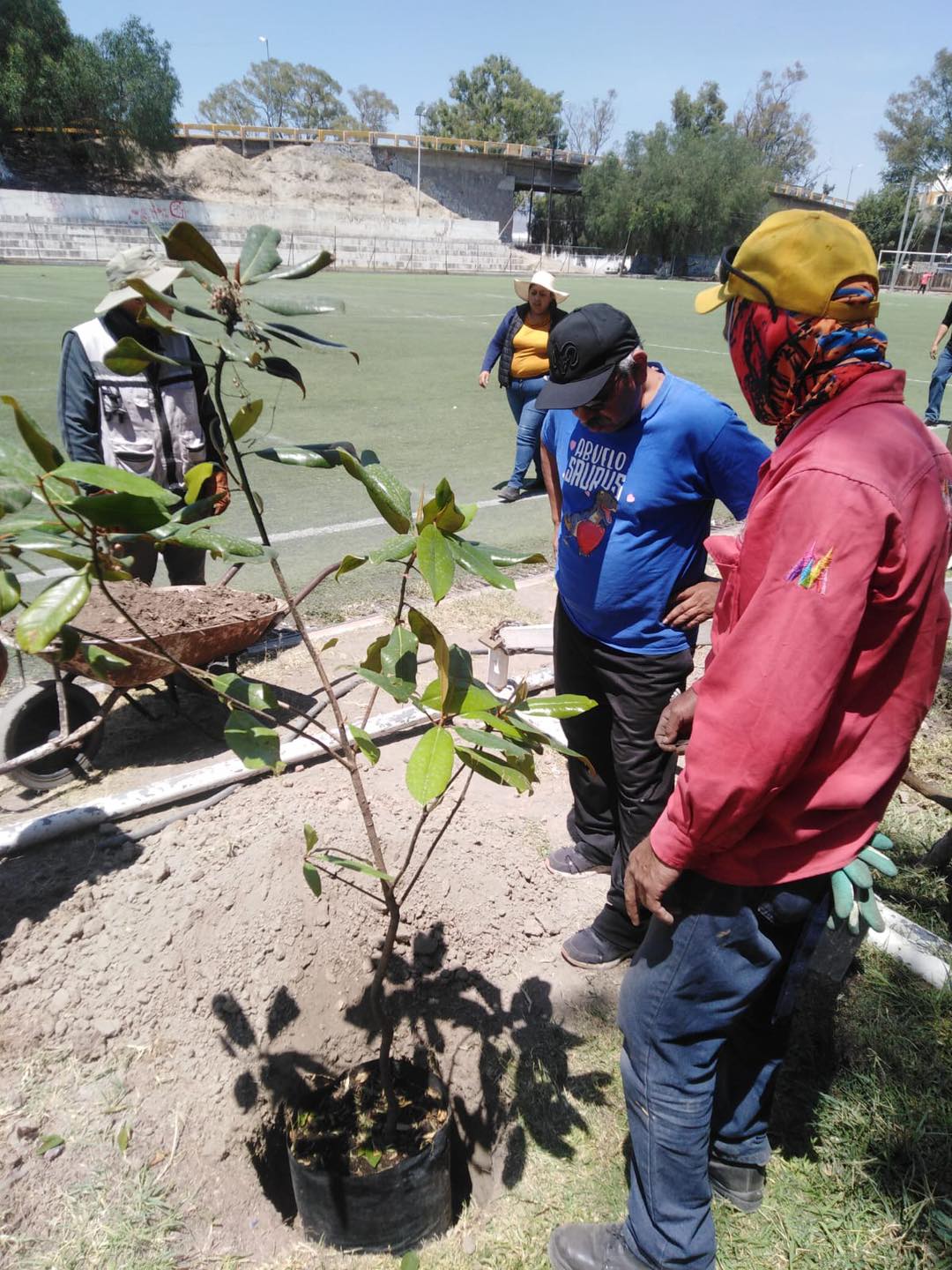 1687560446 599 Realizamos la arborizacion y mantenimiento del campo de futbol de