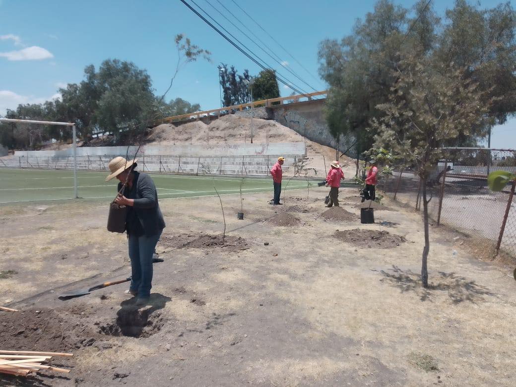 1687560455 487 Realizamos la arborizacion y mantenimiento del campo de futbol de