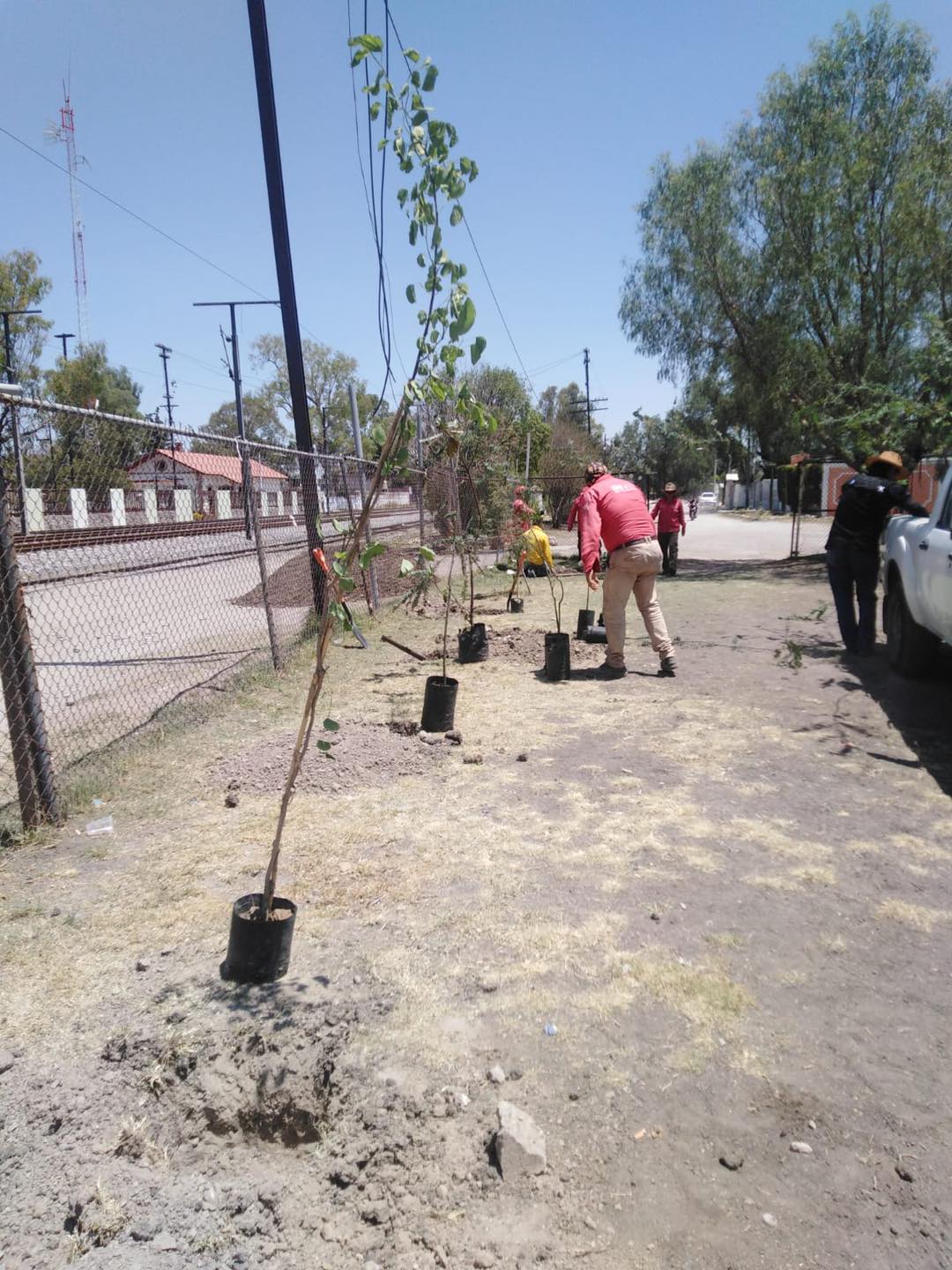 1687560471 989 Realizamos la arborizacion y mantenimiento del campo de futbol de