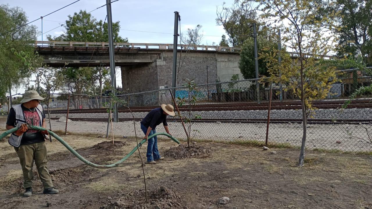 1687560516 Realizamos la arborizacion y mantenimiento del campo de futbol de