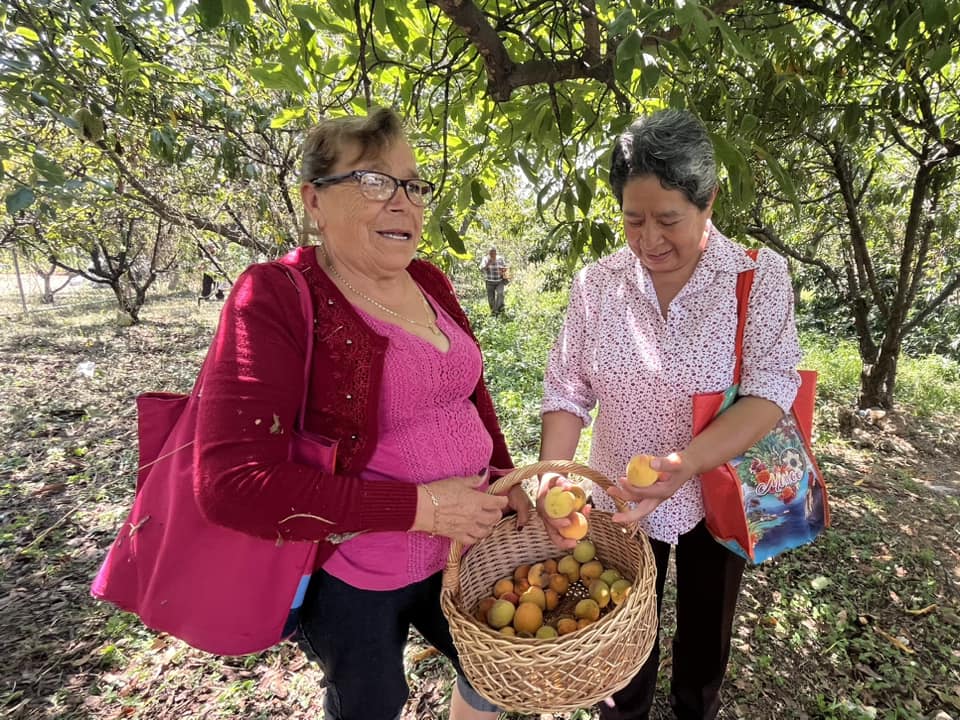 1687609299 363 Disfrutamos la visita de los adultos mayores al huerto del