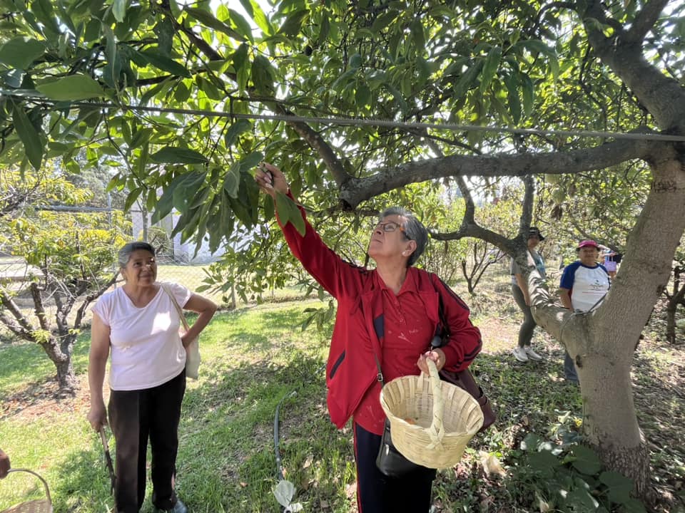 1687609306 622 Disfrutamos la visita de los adultos mayores al huerto del