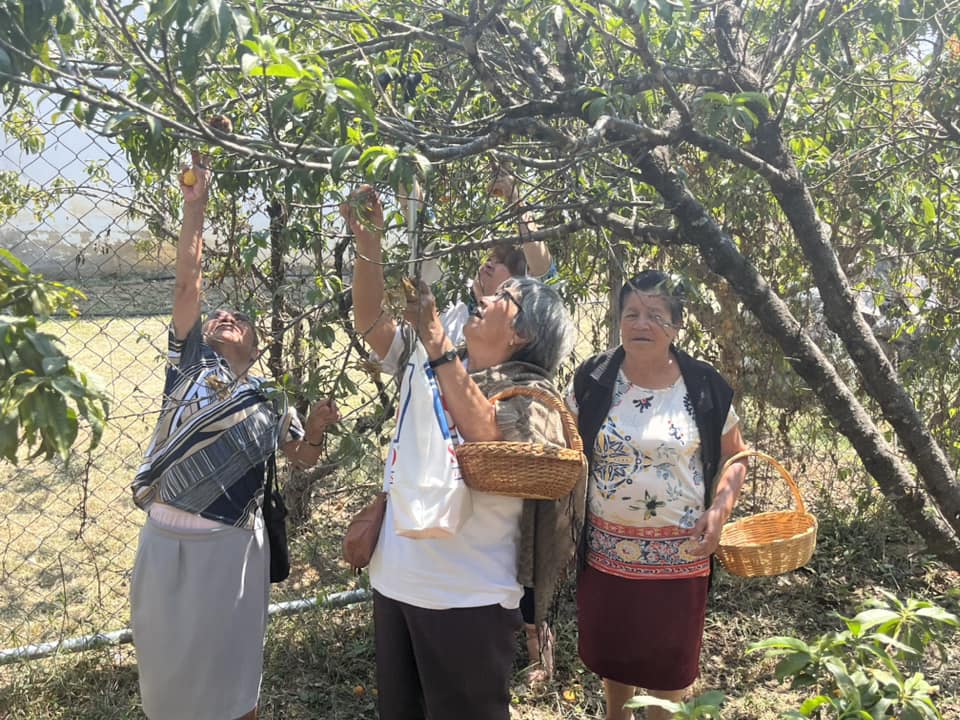 1687609357 Disfrutamos la visita de los adultos mayores al huerto del