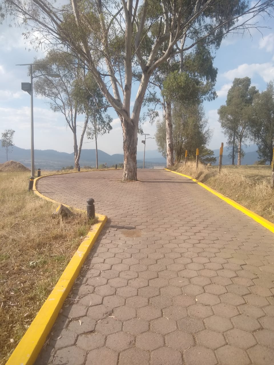 1687624579 954 Seguimos trabajando en las instalaciones del parque ecoturistico el galpon