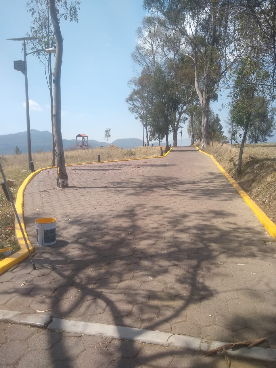 1687624599 685 Seguimos trabajando en las instalaciones del parque ecoturistico el galpon