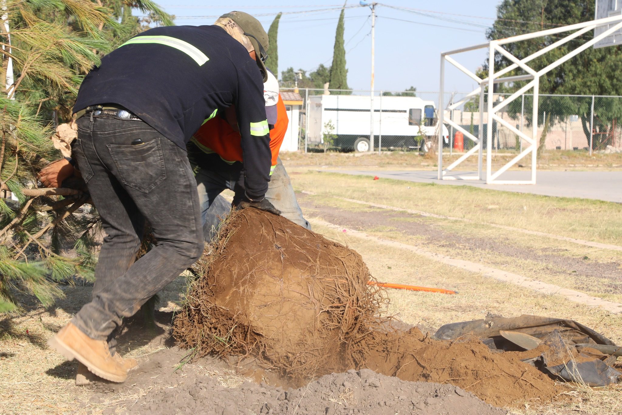 1687629141 257 ¡Iniciamos la campana de reforestacion en el deportivo San Marcos