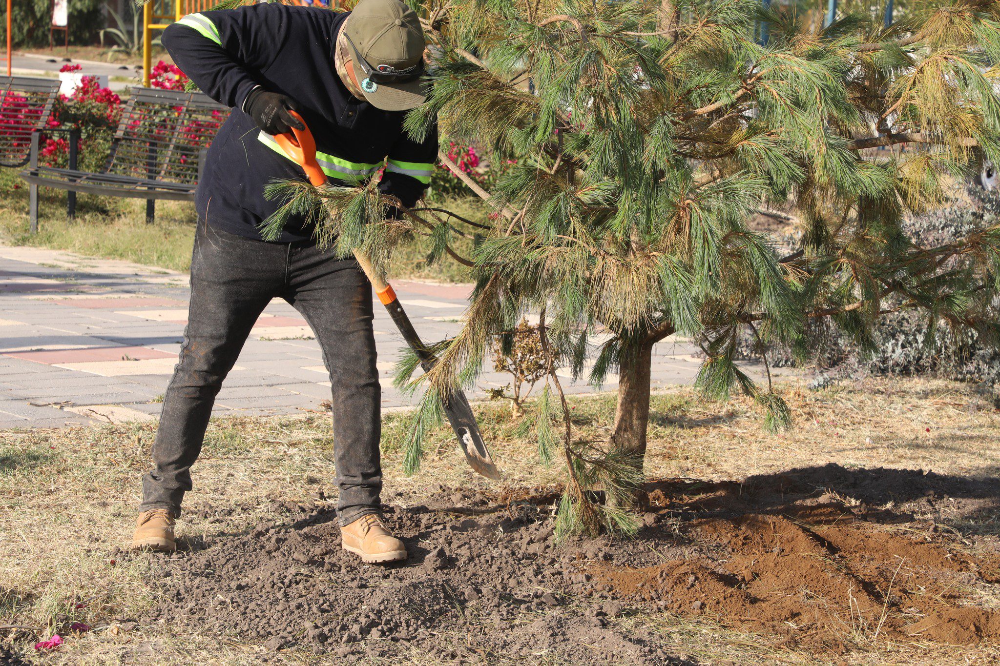 1687629147 708 ¡Iniciamos la campana de reforestacion en el deportivo San Marcos