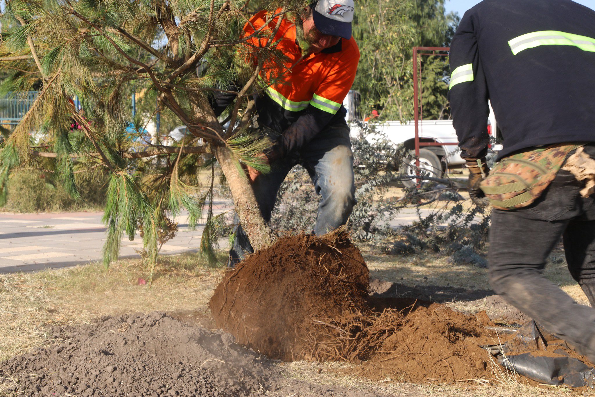 1687629153 817 ¡Iniciamos la campana de reforestacion en el deportivo San Marcos