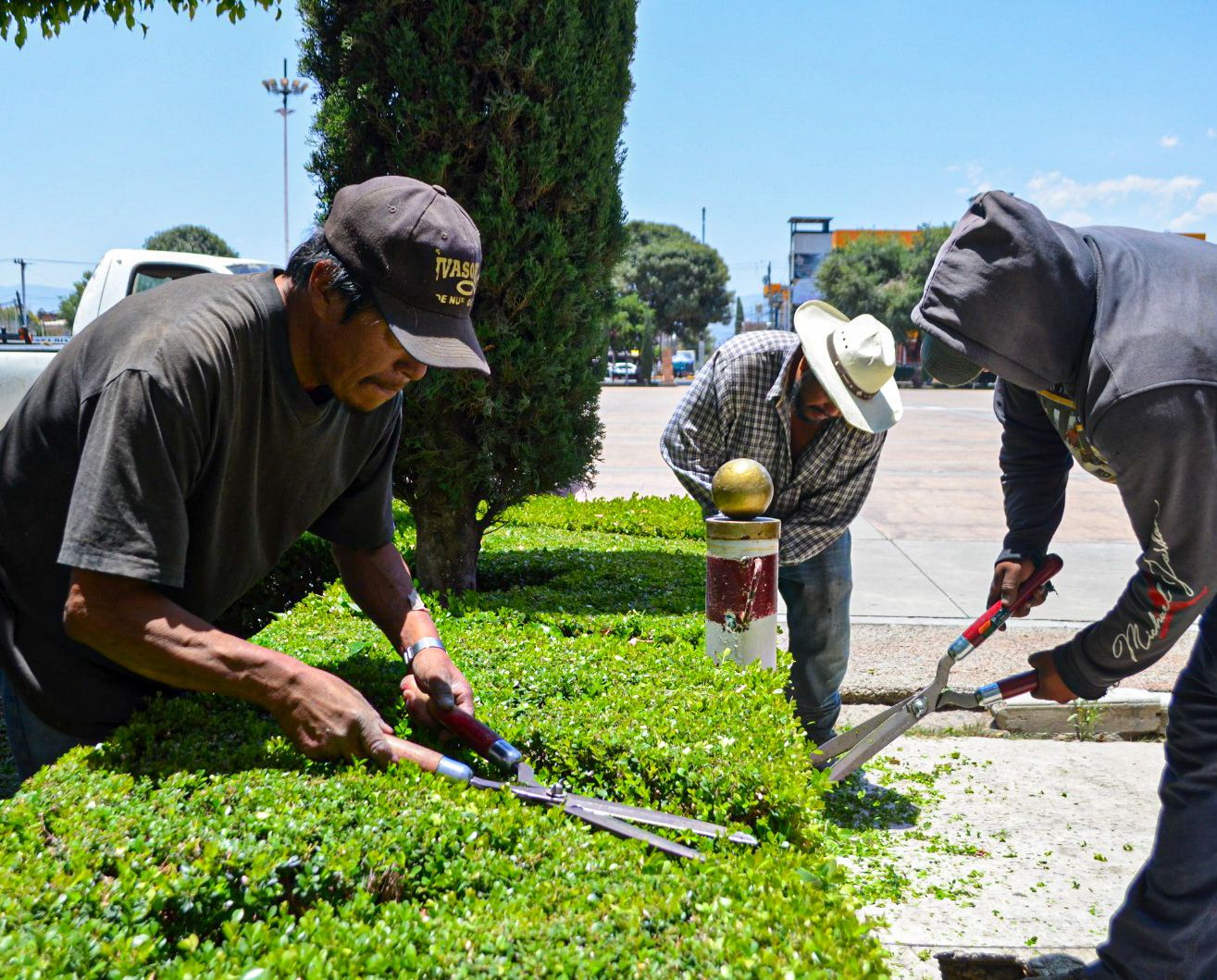 1687637251 545 Ecologia I Trabajos de poda y mantenimiento a las areas