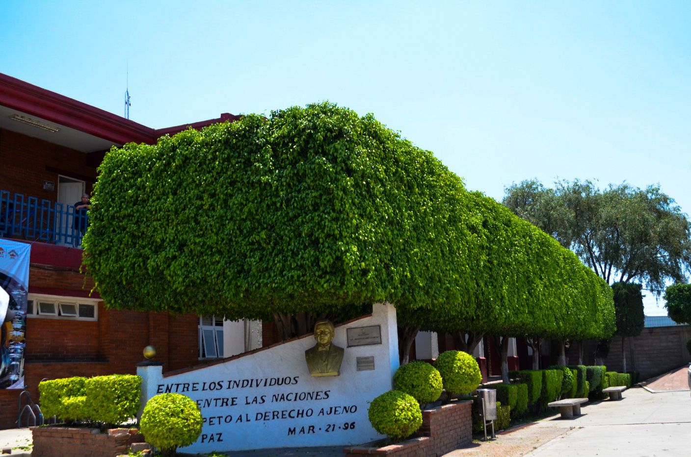 1687637299 Ecologia I Trabajos de poda y mantenimiento a las areas