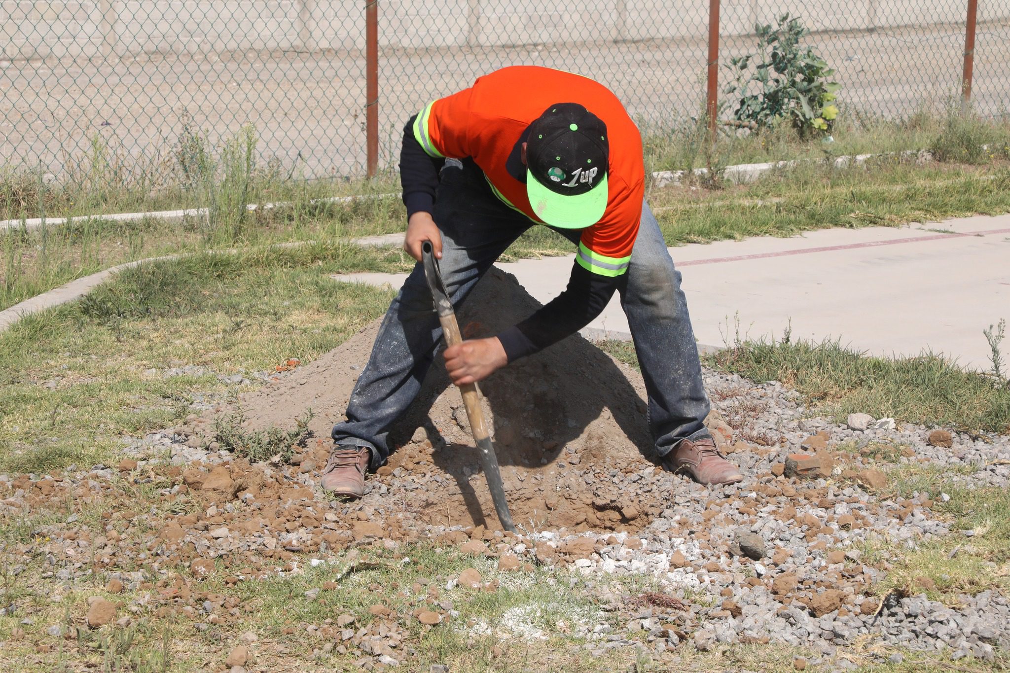 1687710082 368 ¡La campana de reforestacion sigue en marcha Zumpango