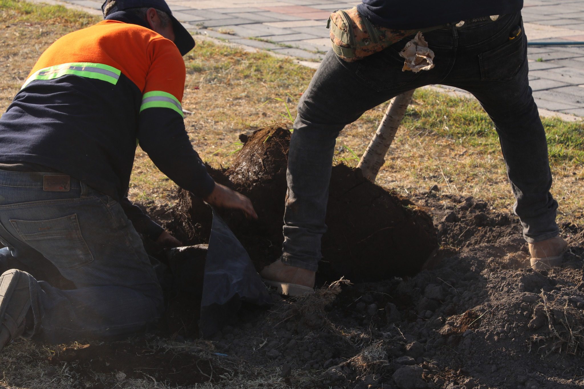 1687710103 724 ¡La campana de reforestacion sigue en marcha Zumpango