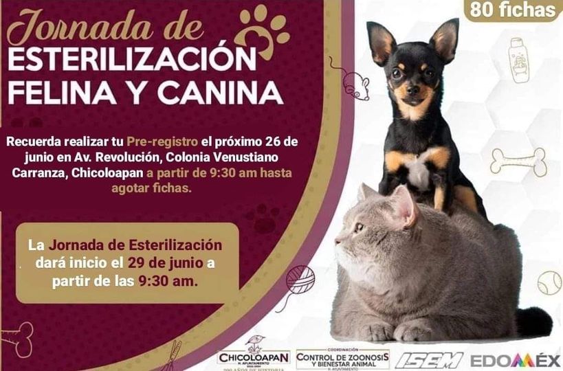 1687796323 La Coordinacion de Control de Zoonosis y Bienestar Animal realiza