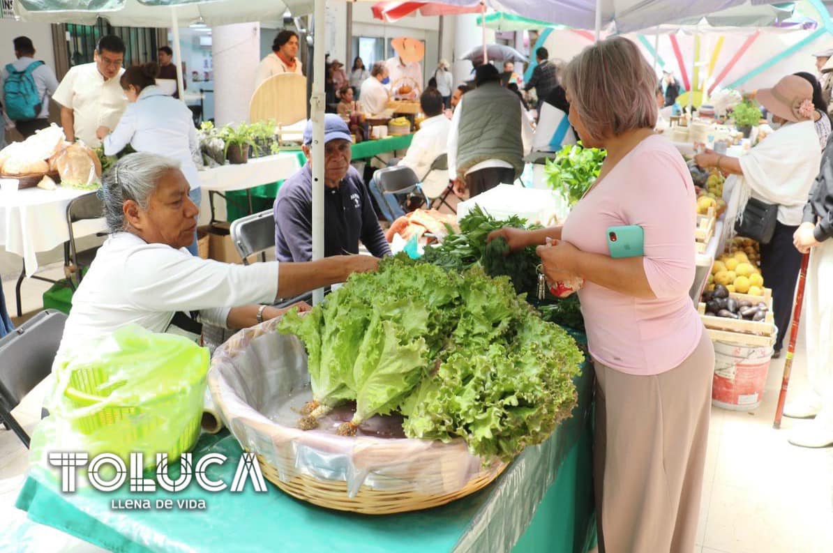 1687809674 442 ¡Visita nuestro HuertoSustentable del DIF Toluca Te esperamos en la