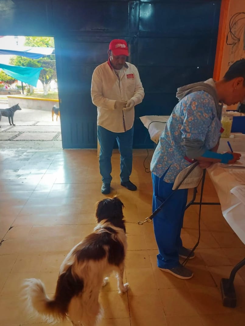 1687884441 892 Procuramos a las mascotas de las familias tenanguenses Ayer se