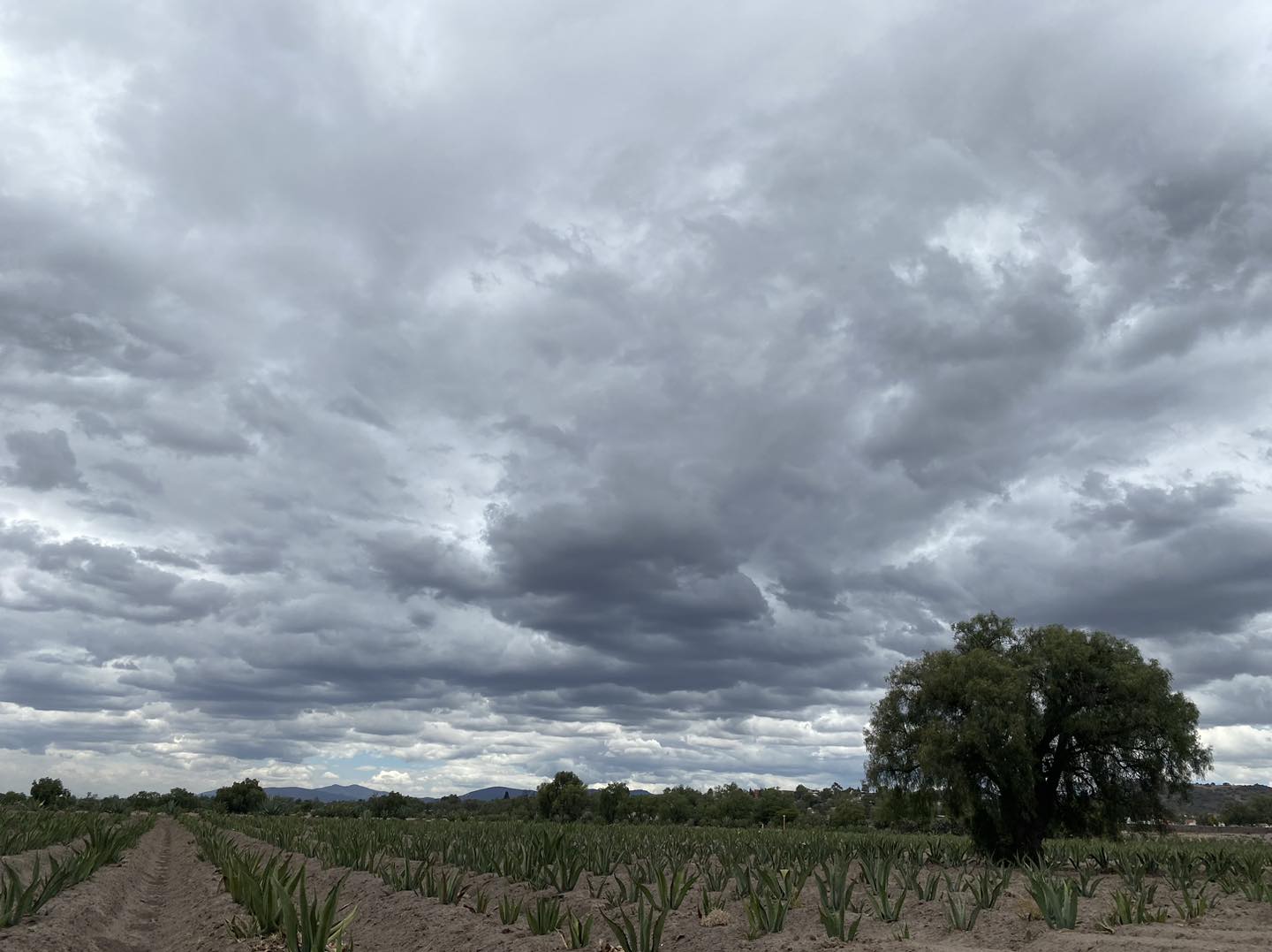 1687888822 348 La naturaleza es la libertad que podemos ver tocar y