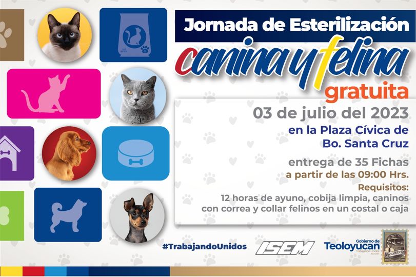 1687899460 Jornada de Esterilizacion Canina y Felina Gratuita TrabajandoUnidos