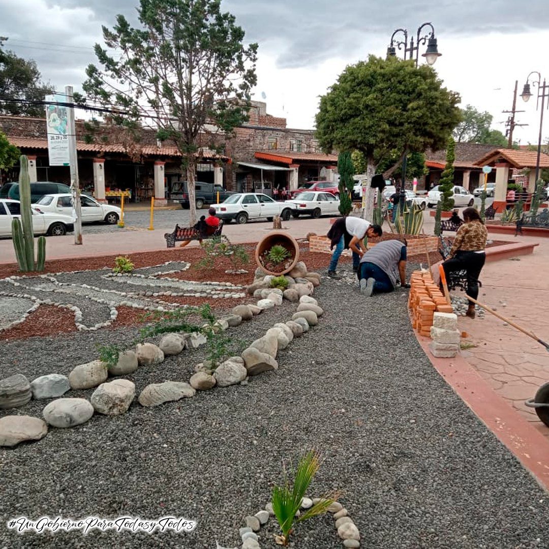 1687901906 309 La Coordinacion de Parques Jardines y Panteones del H Ayuntamiento