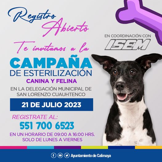 1687909545 IMPORTANTE EL REGISTRO ES PARA UNA MASCOTA