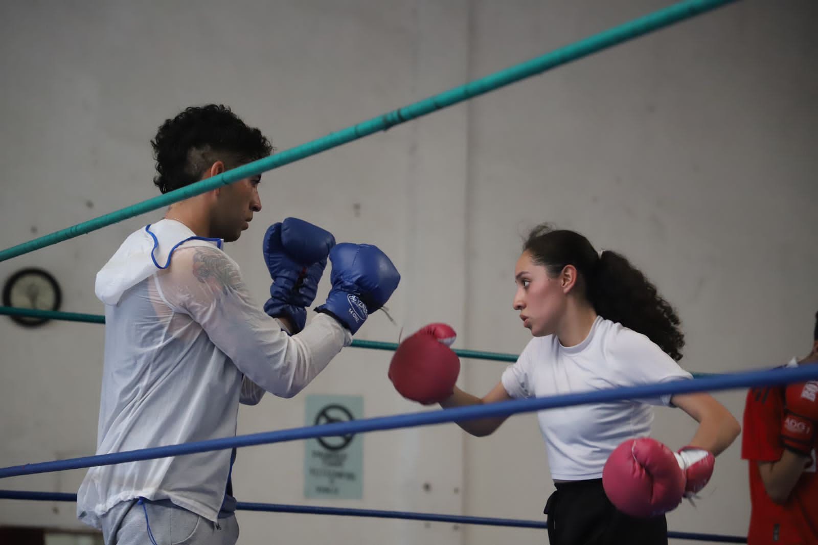 1687960527 999 Si te gusta el Taekwondo el Box o voleibol la